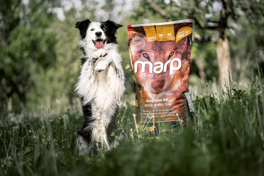 Marp Holistic – granule pro psy bez obilovin