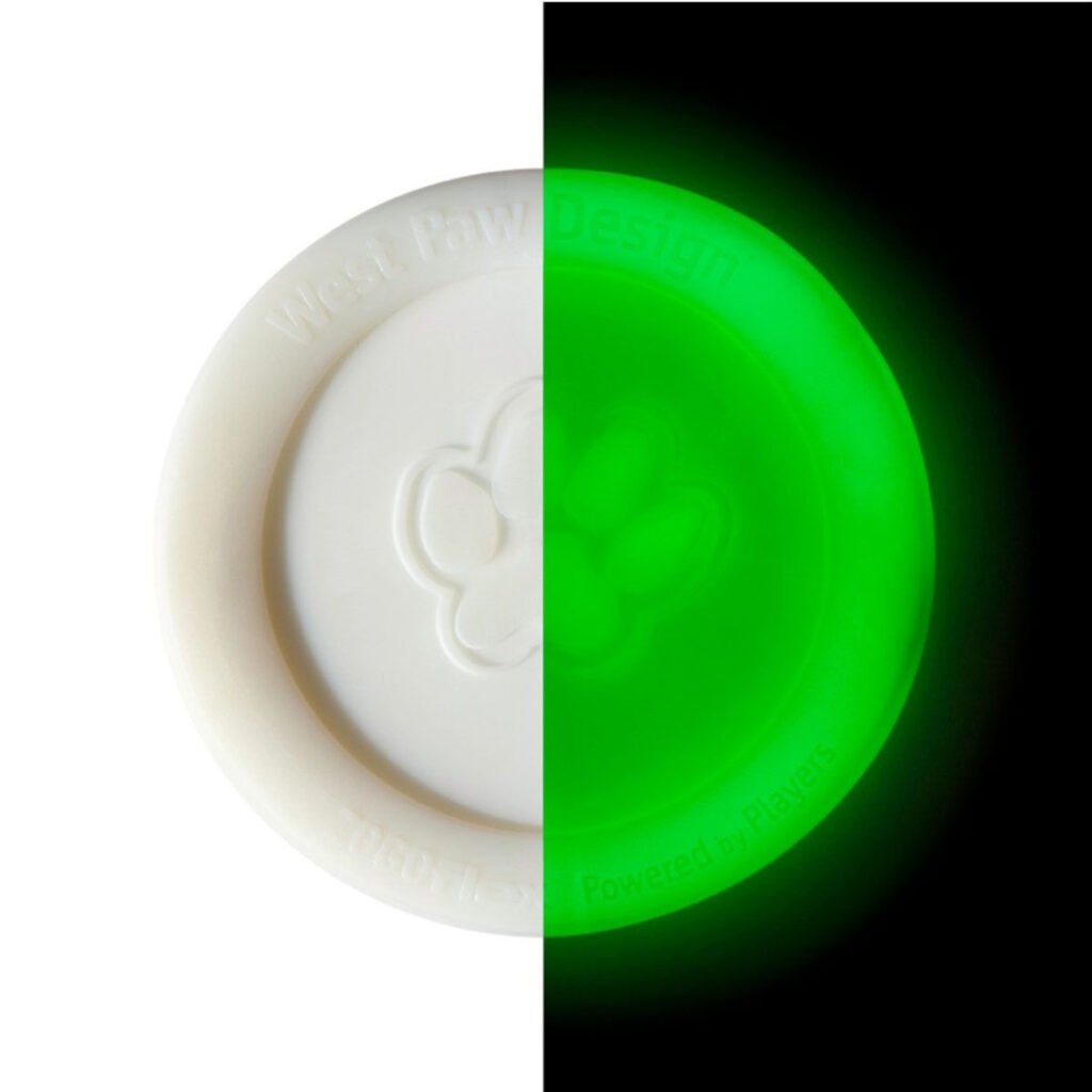 Létající disk Zisc