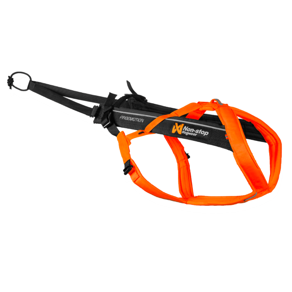 Postroj Freemotion harness 5.0