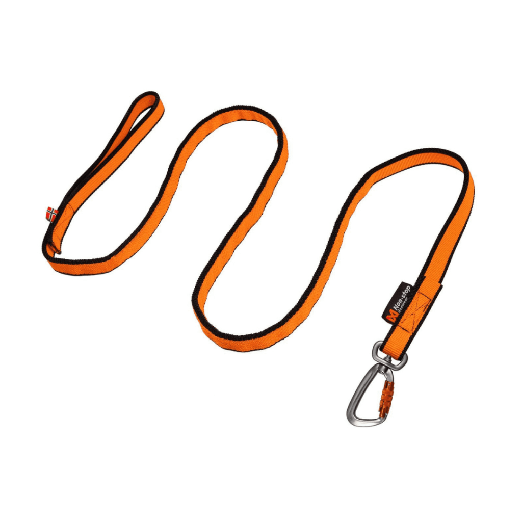 Odpružené vodítko Bungee leash