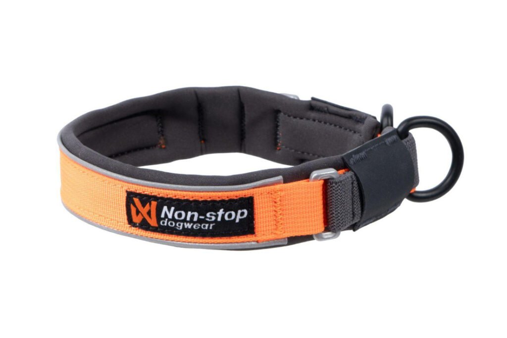 Obojek Protector collar
