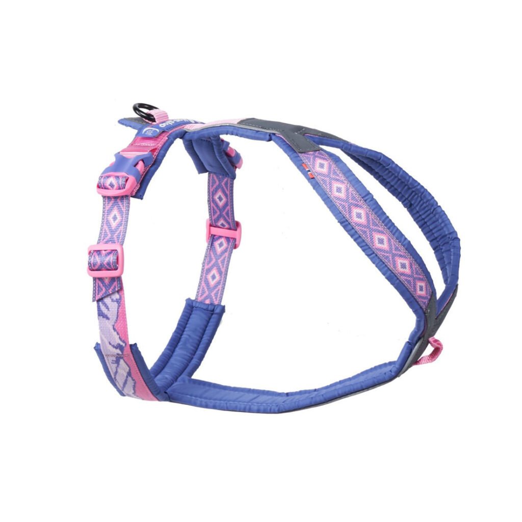 Postroj Line harness 5.0 Rachel Pohl LTD
