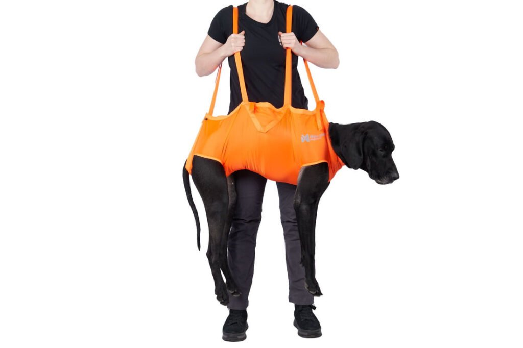 Záchranný vak Dog rescue sling