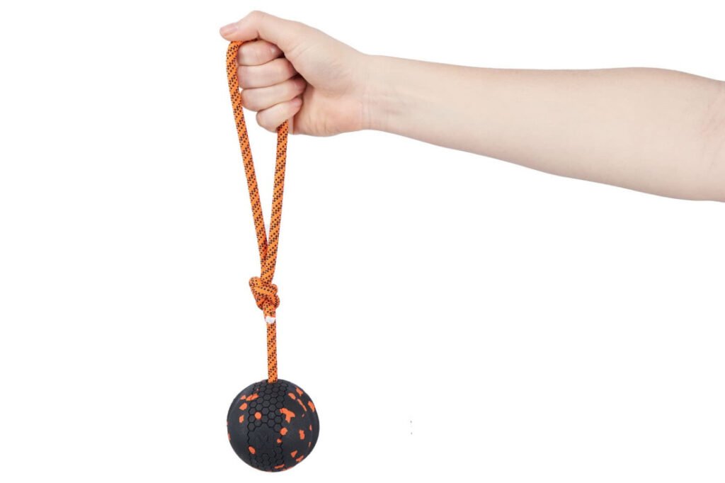 Hračka Dog ball on rope